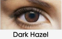 SL NatCol Dark Hazel