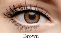 AO Colors Brown